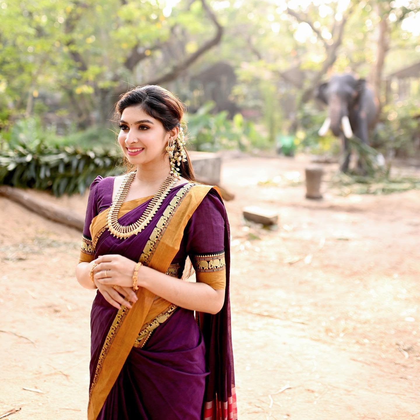 Neyge Traditional Pure Cotton Narayanpet Saree With Elephant Motif Border Stripe Pallu Saree -Majenta